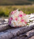 IMG_8288